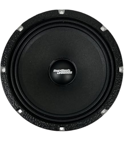 Amazon.com: Resilient Sounds RS NEO 8 400w rms 4ohm 8
